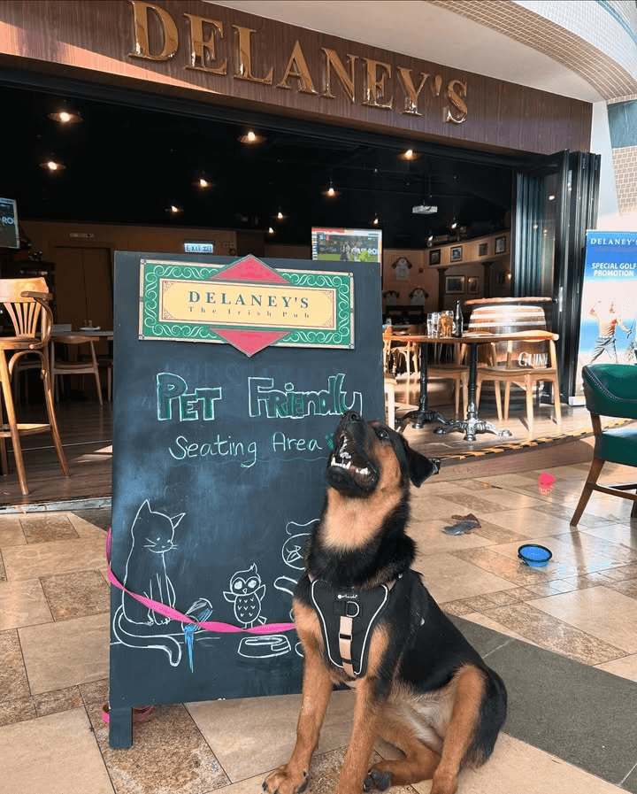 Delaney's (Cyberport)