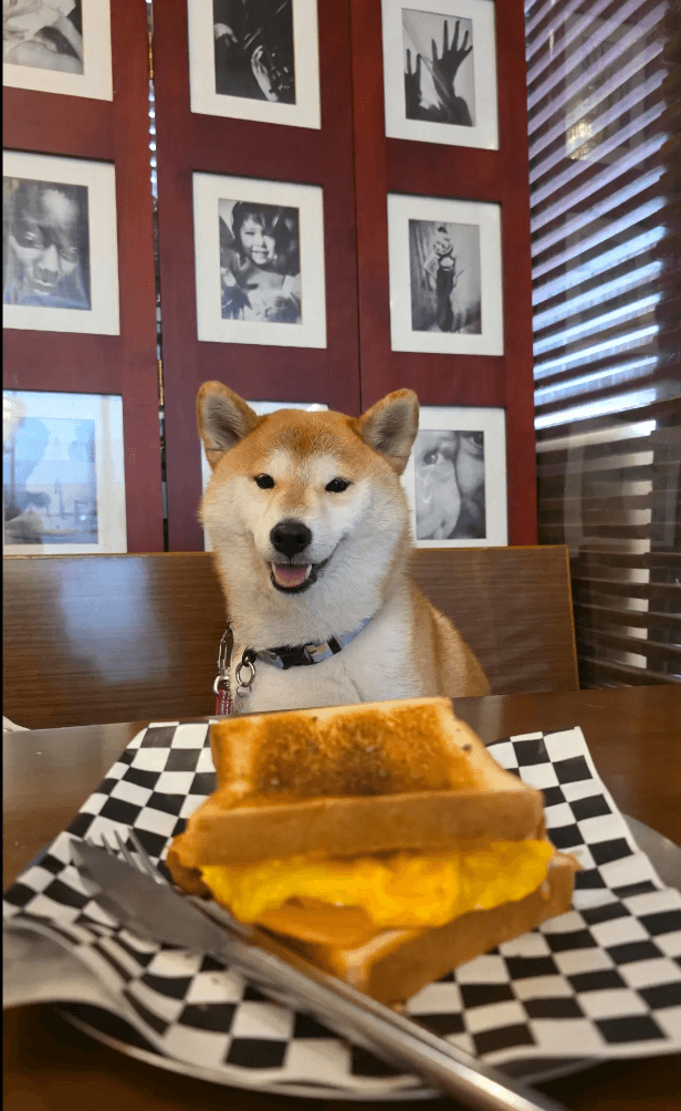 Badgers Cafe