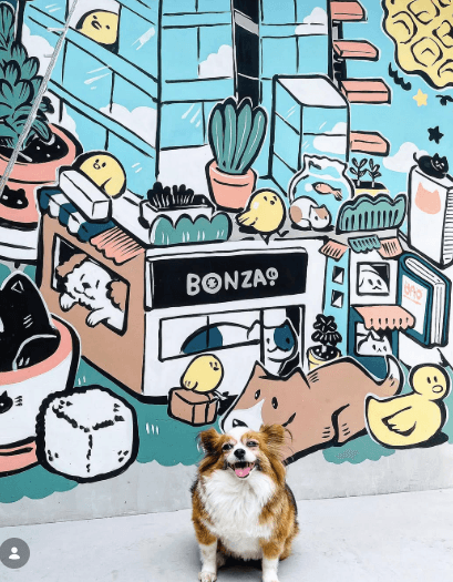 Bonza by Waffling Beans