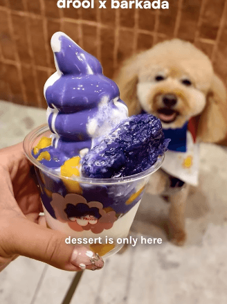 Drool Froyo (Central)