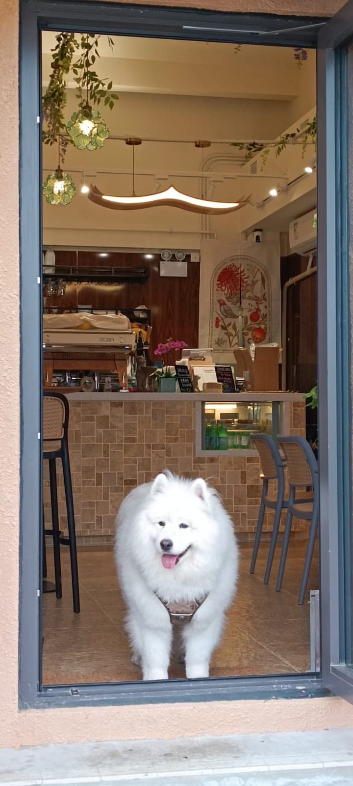 The Shack Cafe