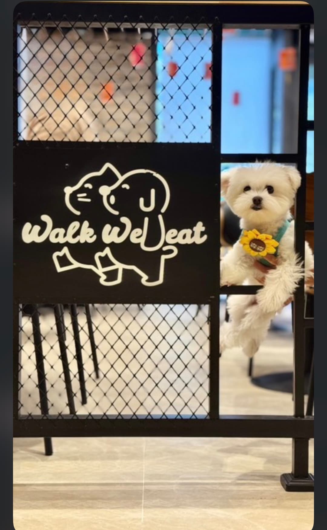 Walk We Eat